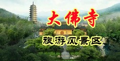 成年人黄色污污羞羞答答在线直播中国浙江-新昌大佛寺旅游风景区